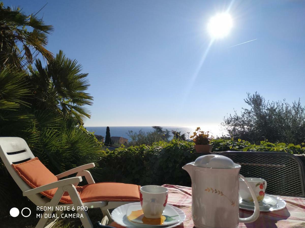 Apartament Giardino Miramare Citra Zero Zero Ottanta Trentuno Lt 0737 Imperia Zewnętrze zdjęcie